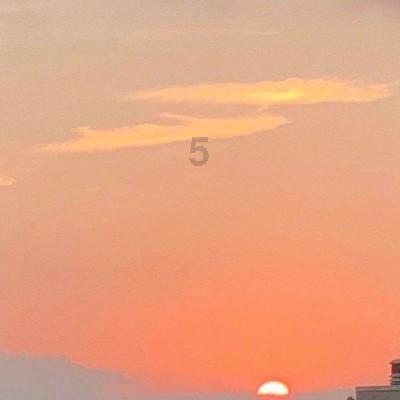 22岁的,自己似乎从未有过爱情,我觉得一个人挺好的,不需要那么麻烦? - 热门社区讨论平台